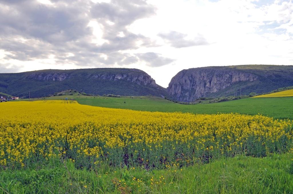 Pensiunea Cheile Apusenilor Sandulesti Exterior foto