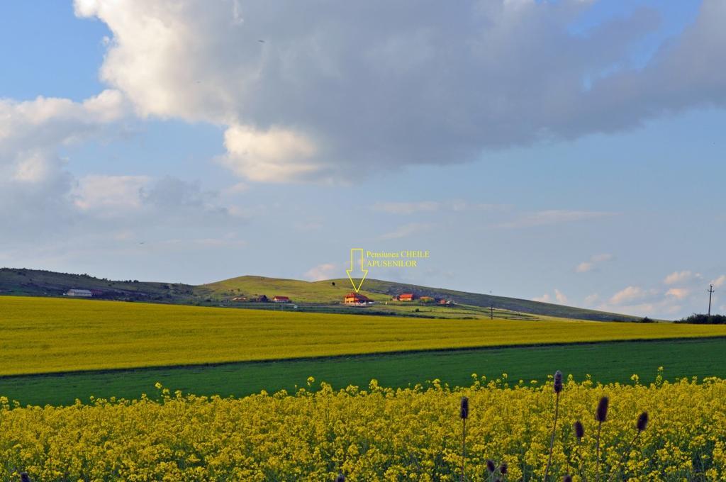 Pensiunea Cheile Apusenilor Sandulesti Exterior foto