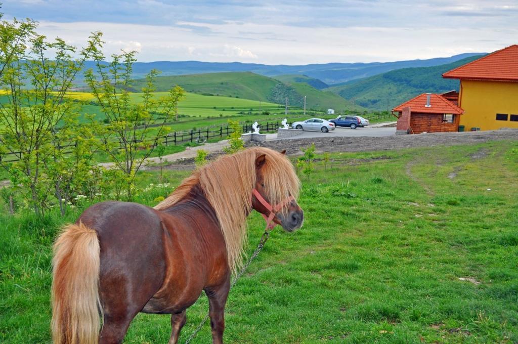 Pensiunea Cheile Apusenilor Villa Sandulesti Exterior foto