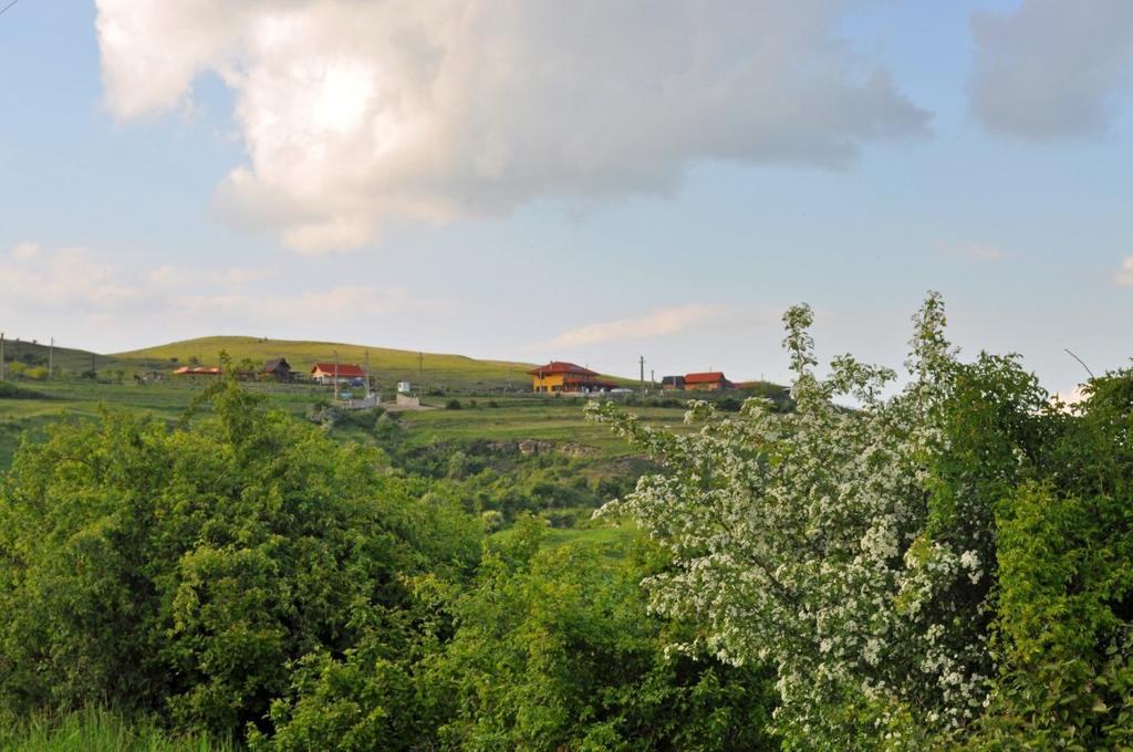 Pensiunea Cheile Apusenilor Sandulesti Exterior foto
