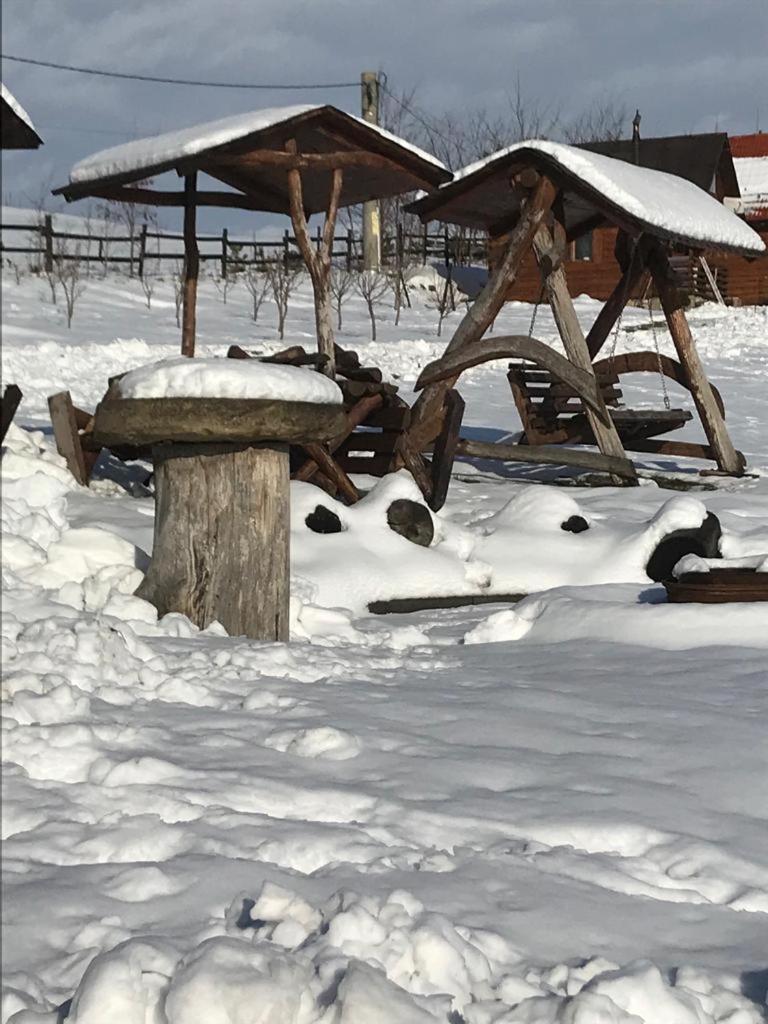Pensiunea Cheile Apusenilor Sandulesti Exterior foto