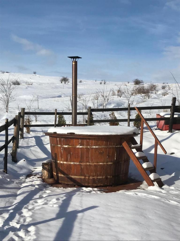 Pensiunea Cheile Apusenilor Sandulesti Exterior foto