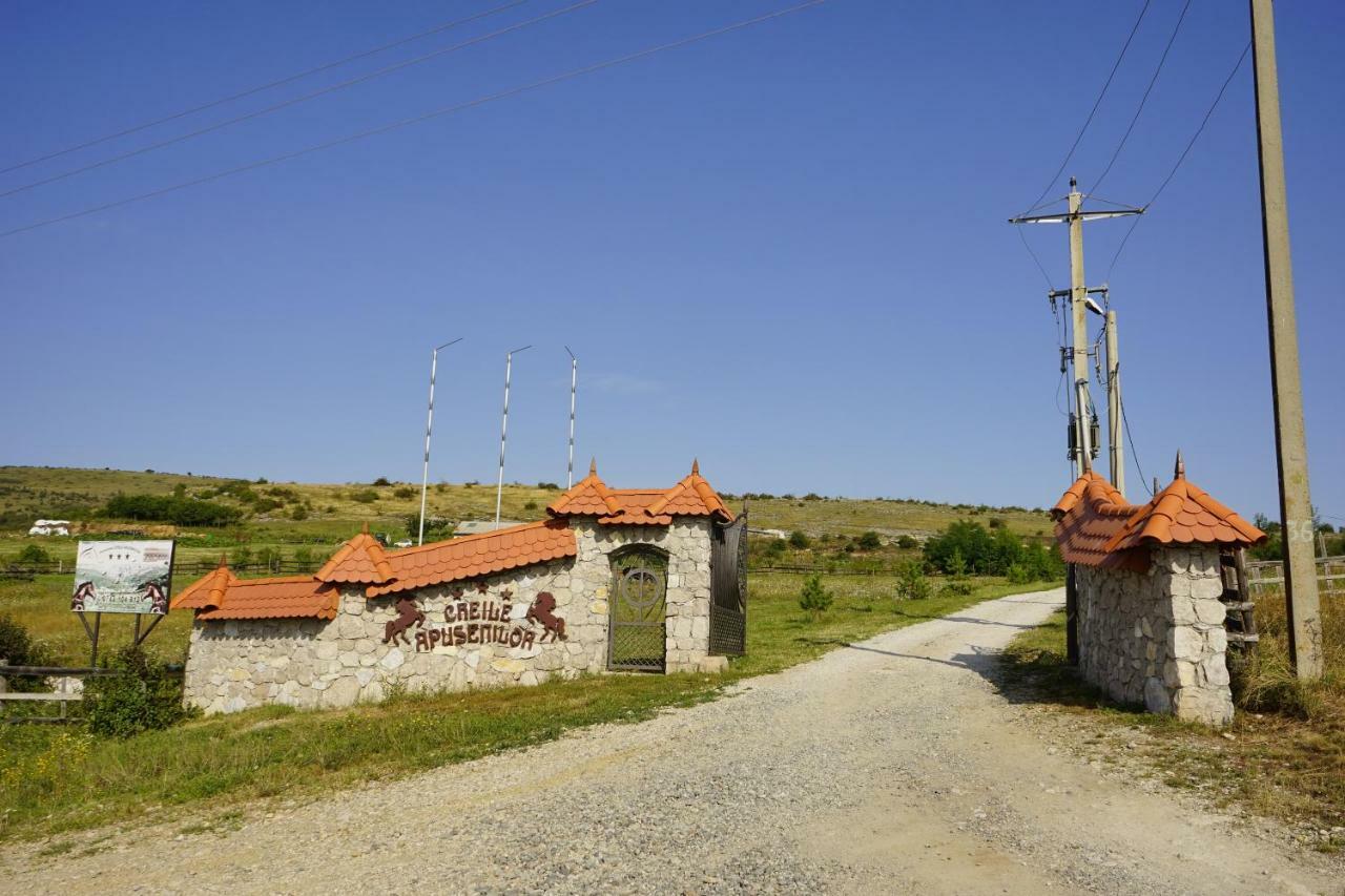 Pensiunea Cheile Apusenilor Villa Sandulesti Exterior foto