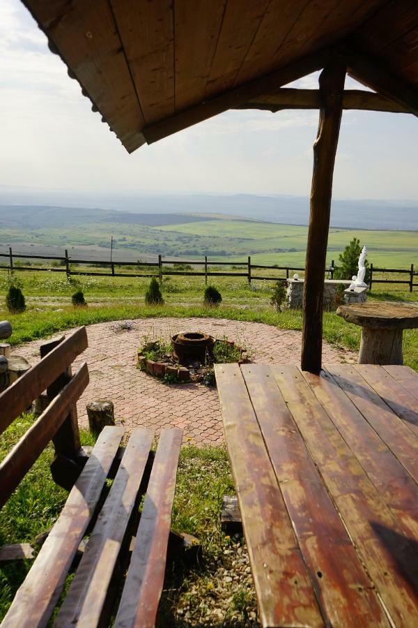 Pensiunea Cheile Apusenilor Villa Sandulesti Exterior foto